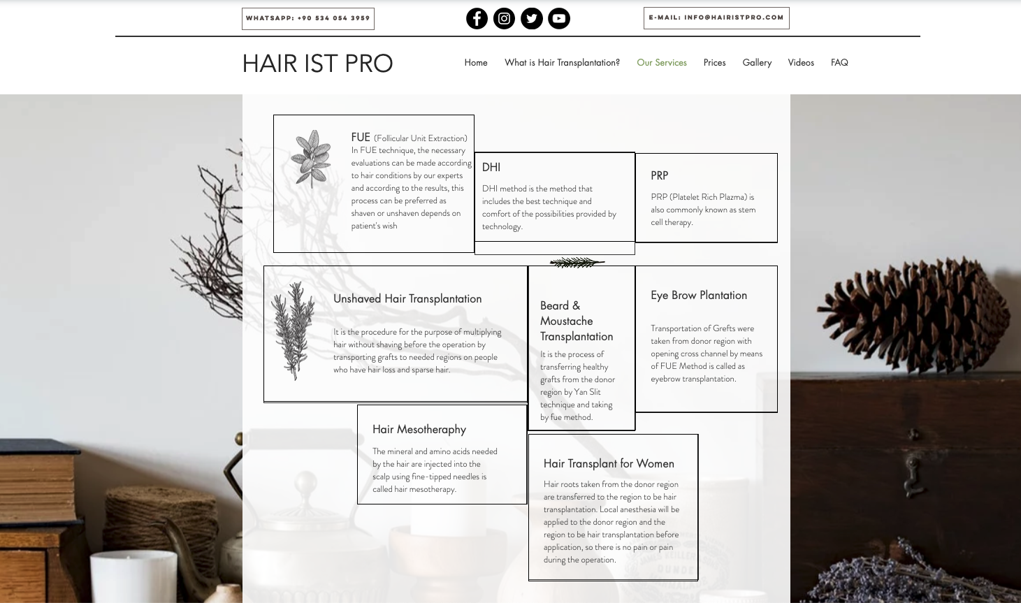 Hairist Pro